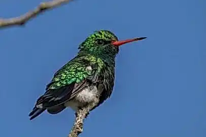 Сукааа зеркало 41bcc4